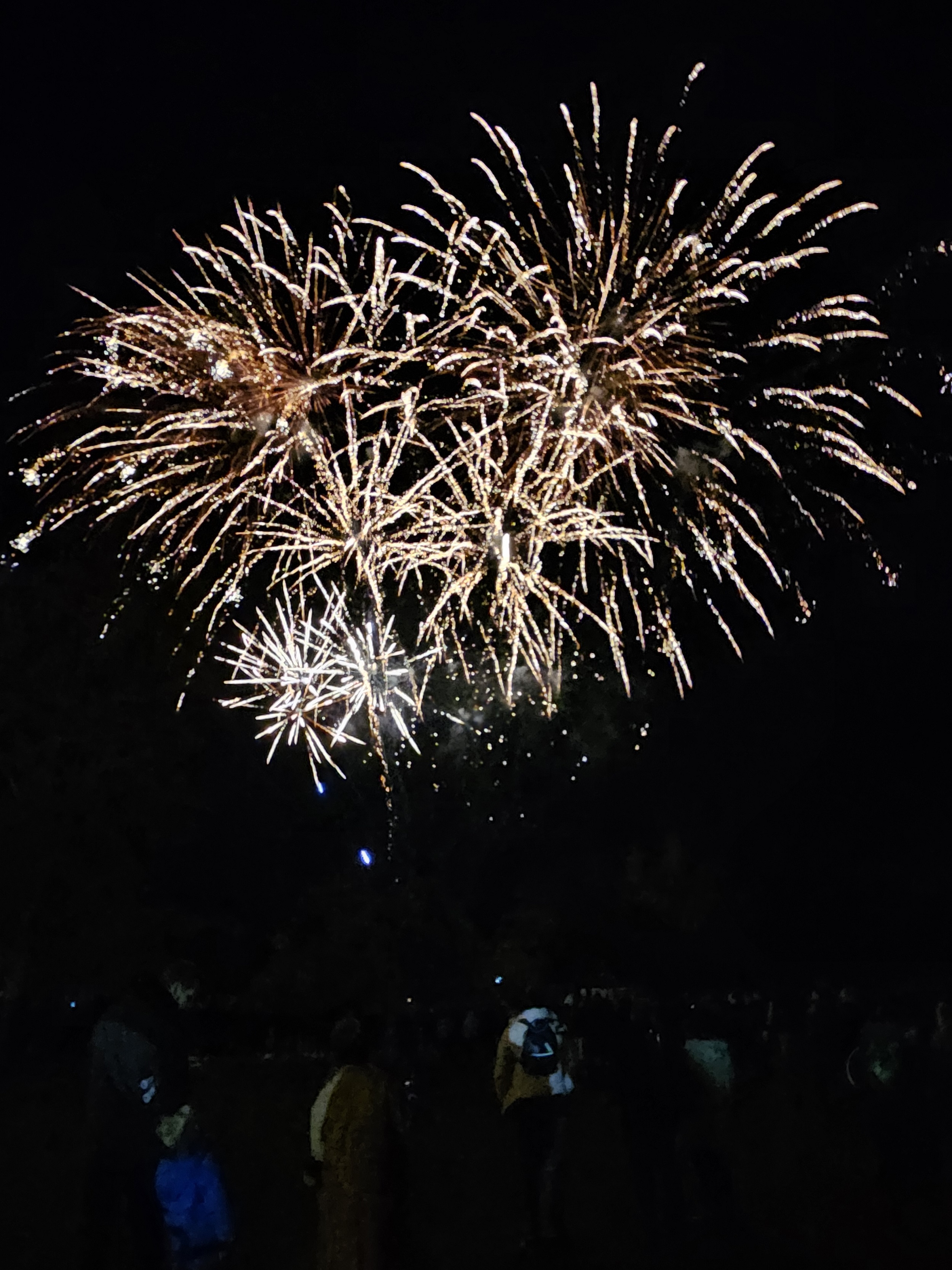 Fireworks at Phyllis Court